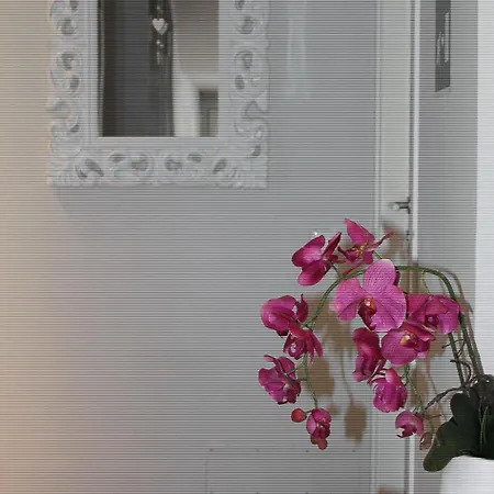 5 For 7 People Near Coloseum 2*